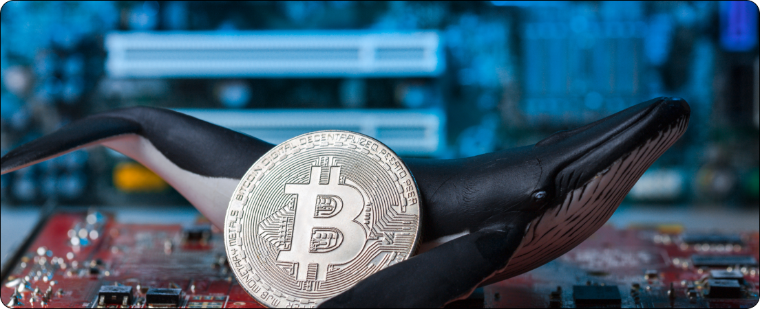 Bitcoin slips below $86,000 as whale selling overwhelms dip buyers